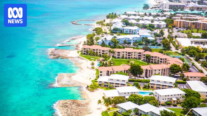 Multinational Tax Avoidance