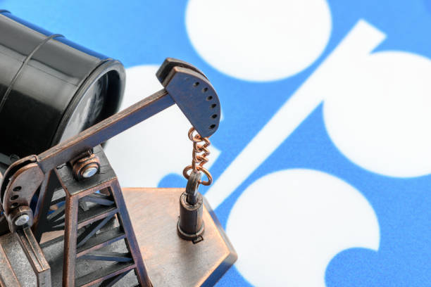 OPEC+ Meeting in Focus: Will Oil Production Cuts Continue Through March 2025? - Action Forex