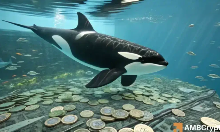 ORCA crypto could reach $7.5, but under one major condition
