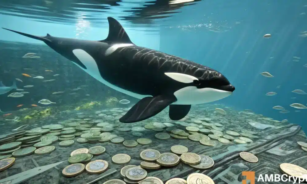 ORCA crypto could reach $7.5, but under one major condition