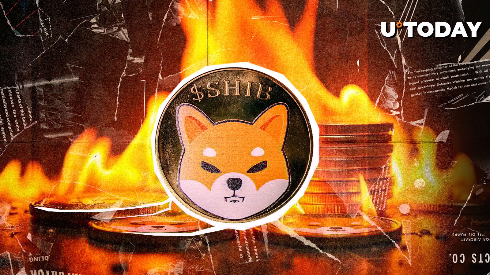 SHIB Burns Soar 630% — What’s Happening?