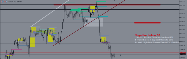 Special Offer to Celebrate Syria's Liberation – 50% Discount for One Week