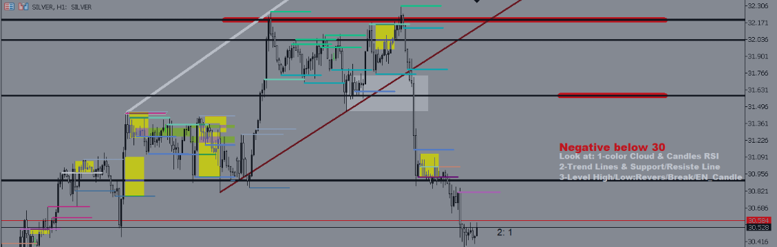 Special Offer to Celebrate Syria's Liberation – 50% Discount for One Week