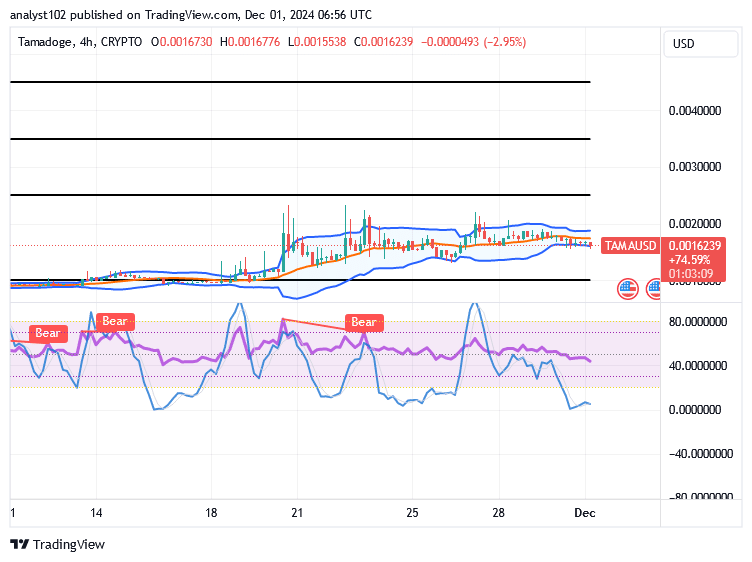 Tamadoge (TAMA/USD) Market Re-energizes, Building Momentum