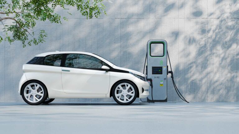 Stone Fox Capital profile picture