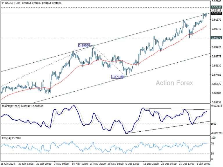 USD/CHF Mid-Day Outlook - Action Forex