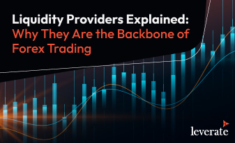 Liquidity Providers: The Backbone of Forex Trading