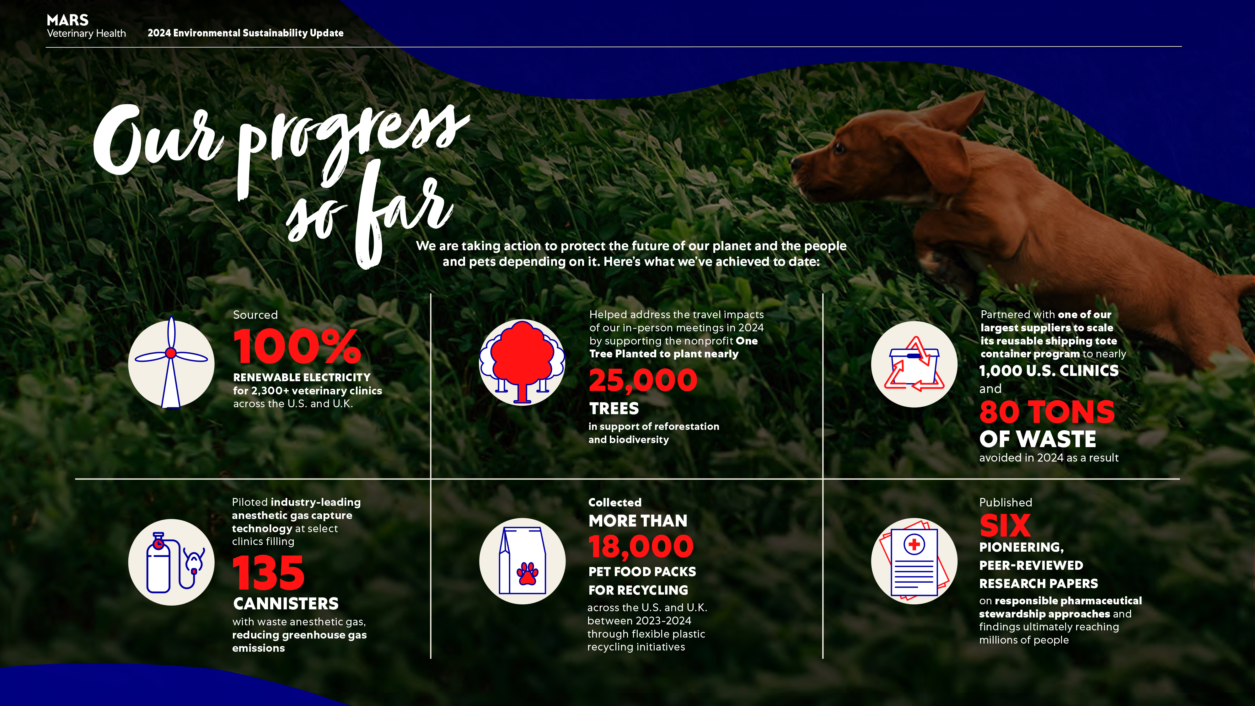 Mars Veterinary Health is taking action to protect the future of our planet and the people and pets depending on it.