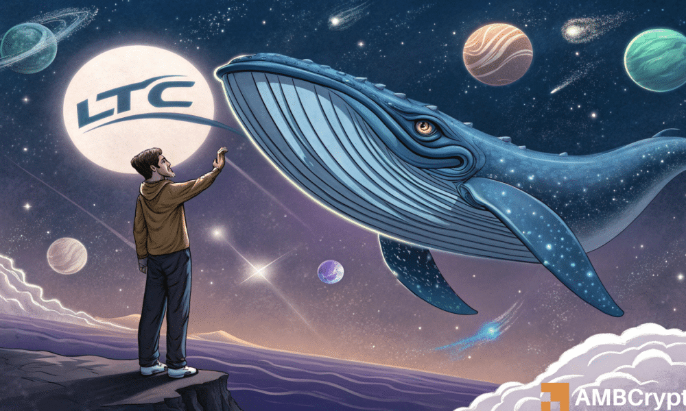 Litecoin: How whale activity played a major role in LTC’s rise