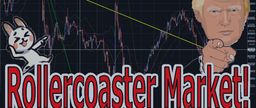 Trump Inauguration Day: A Rollercoaster Market! Why Does the Market Go Wild on Inauguration Day?