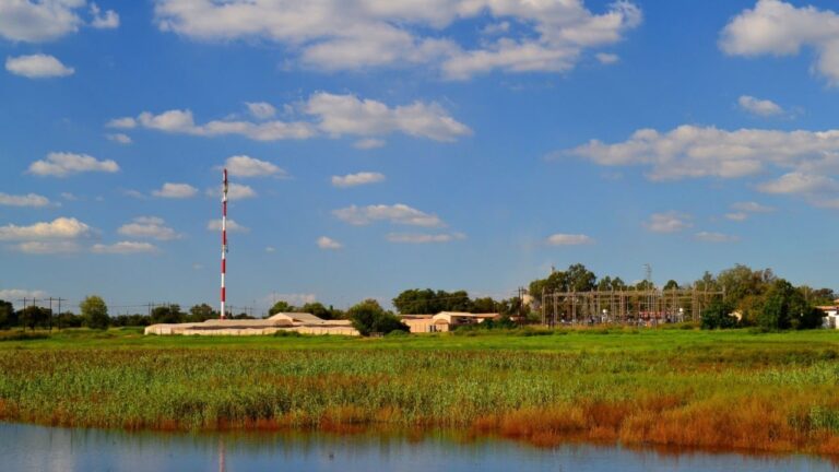 South African Court Sets Bail for Man Accused of Sending Bitcoin to Terrorists – Africa Bitcoin News