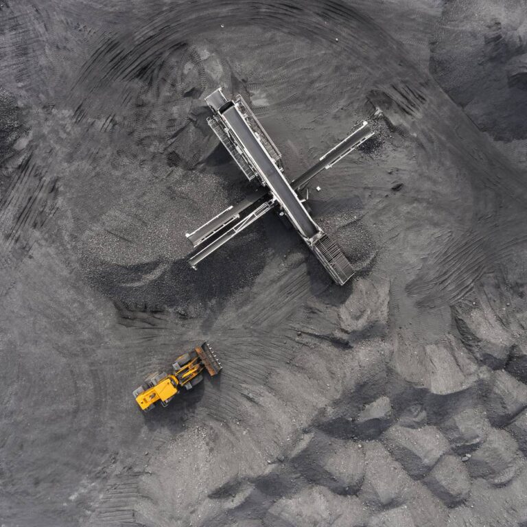 A ‘Crazy’ Contrarian Idea for 2025 - Fat Tail Daily