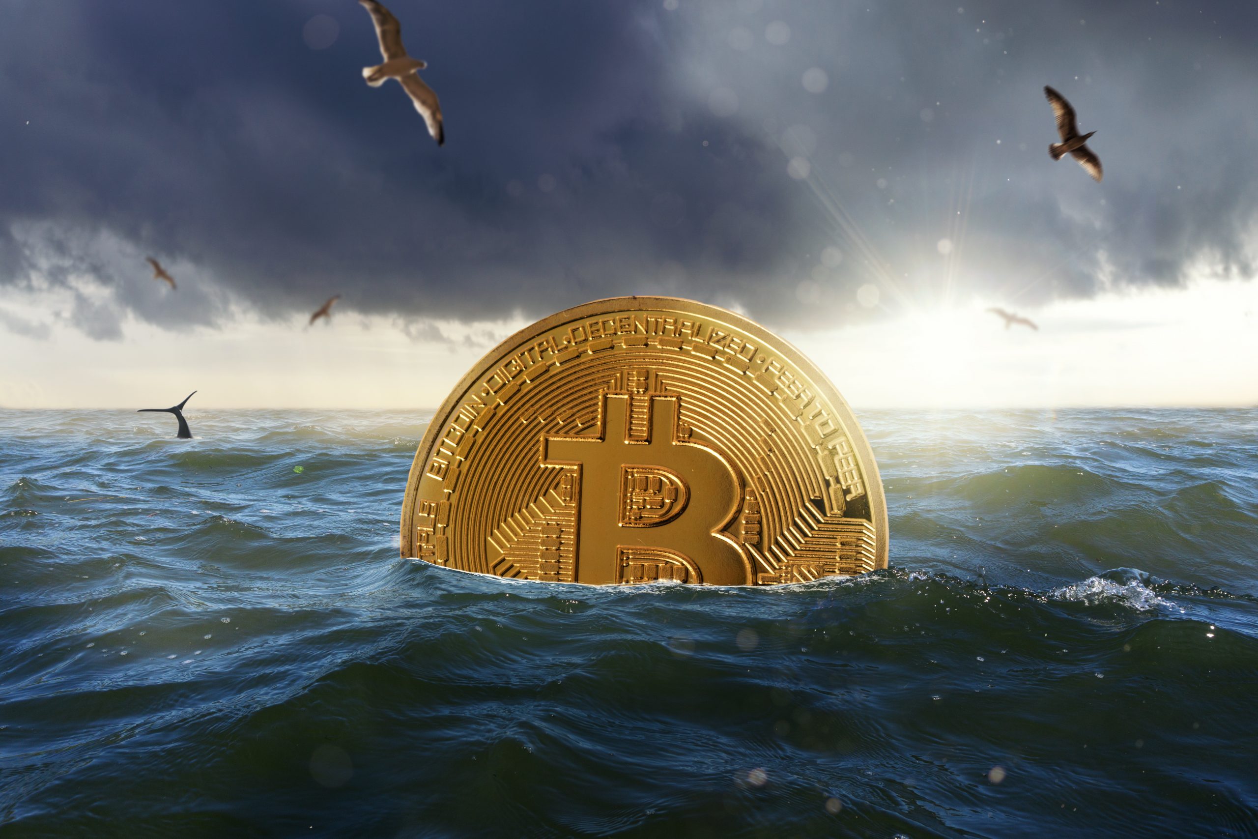 Bitcoin (BTC/USD) vs. Nasdaq: Is the Correlation Affecting Crypto Outflows? - MarketPulse