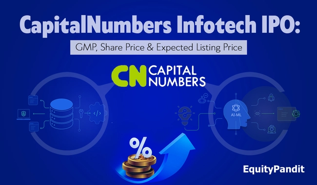 CapitalNumbers Infotech IPO GMP: Share Price & Expected Listing Price - Equitypandit