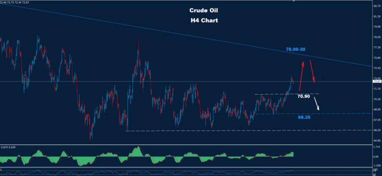 Crude Oil – 10.01.2024 - Orbex Forex Trading Blog