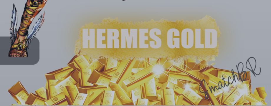 HERMES GOLD PRO