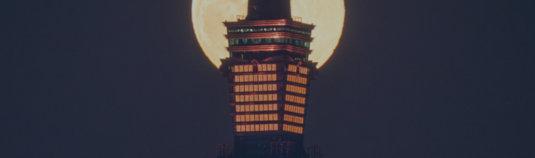 How Supply Demand EA ProBot Turned 7 Trades into $1,000! (15/1/2025)