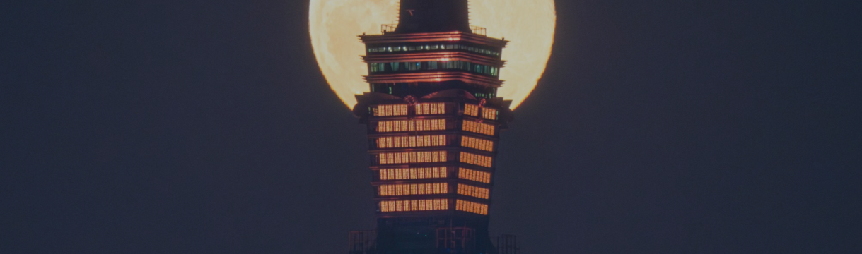 How Supply Demand EA ProBot Turned 7 Trades into $1,000! (15/1/2025)