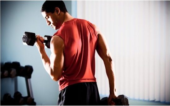 Is Exercise Alone Enough for Muscle Growth?