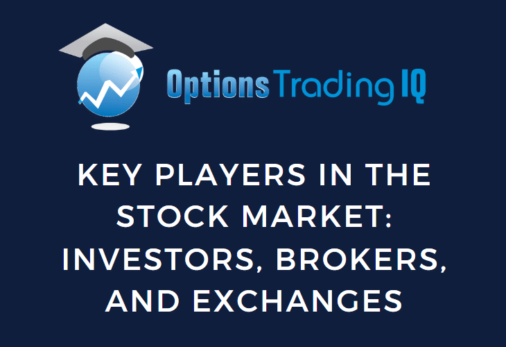 Key Players in the Stock Market: Investors, Brokers, and Exchanges