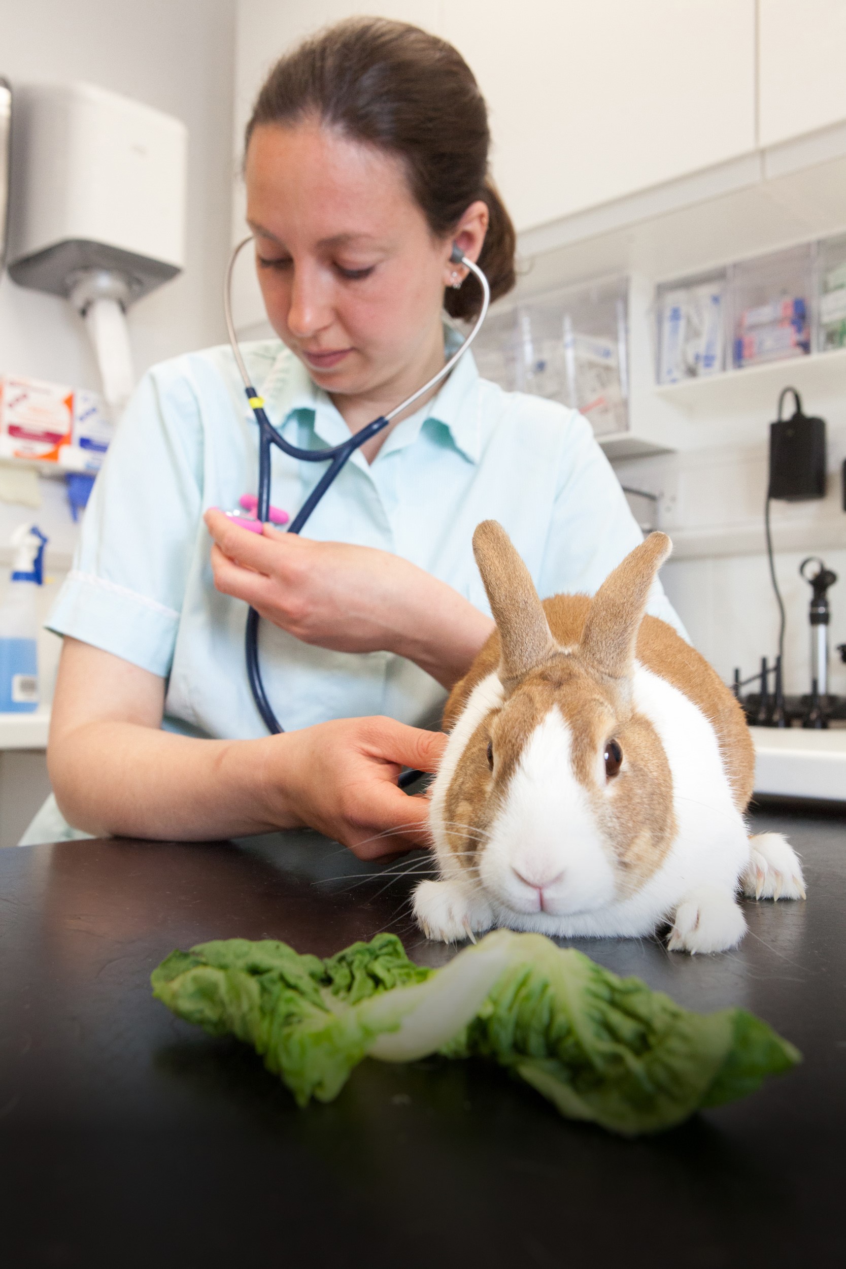 Mars Veterinary Health Publishes Inaugural Environmental Sustainability Update