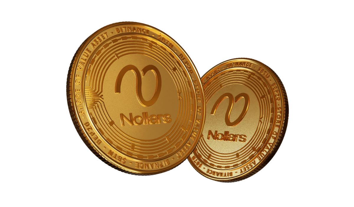 Nollars Network Searches Spike, Topping Layer-2 Rival Shiba