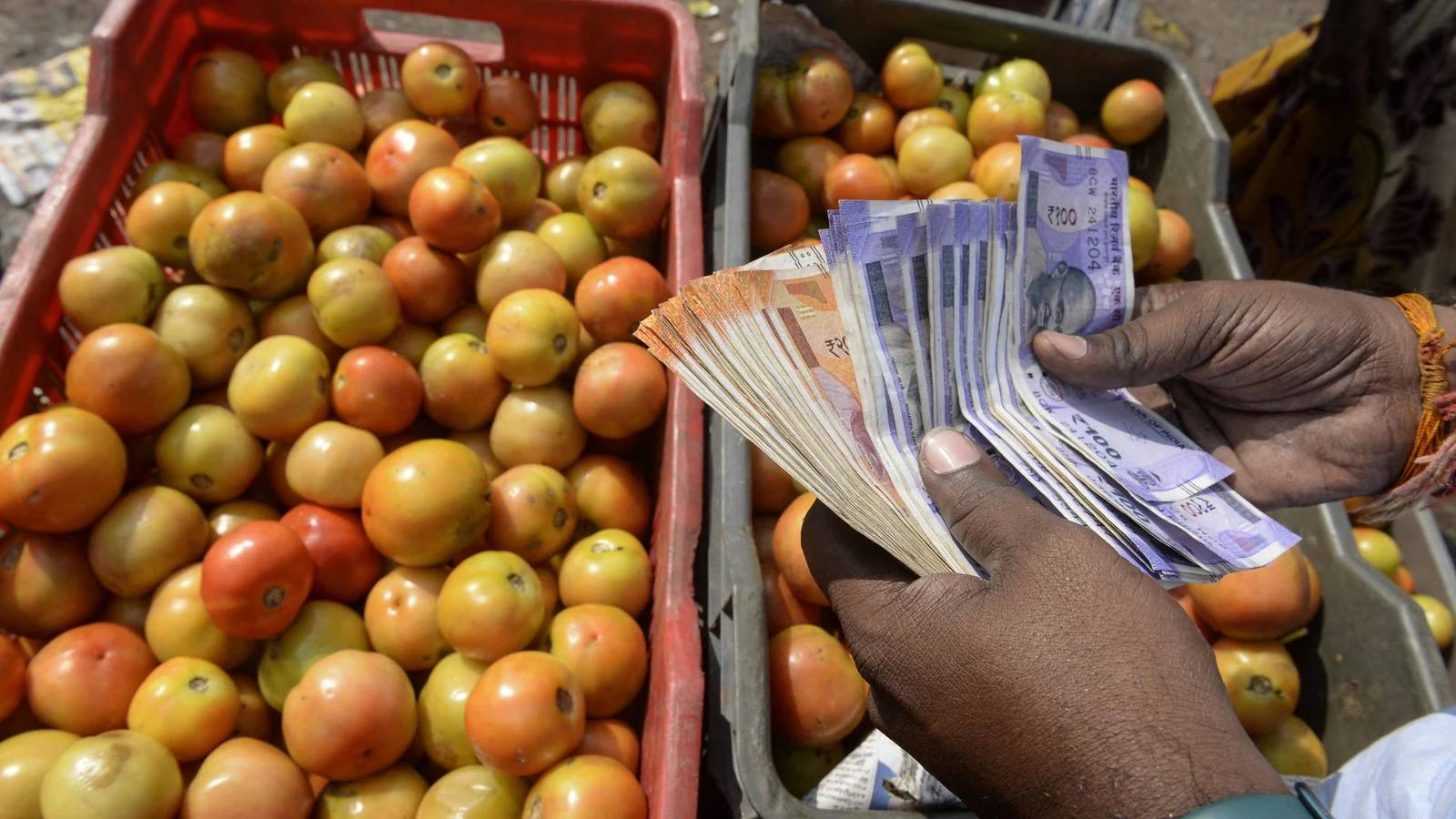 Rural Consumption to Rise, Urban May Slow in FY26: Report - Equitypandit