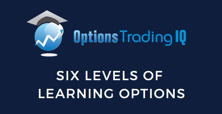 Six Levels of Learning Options