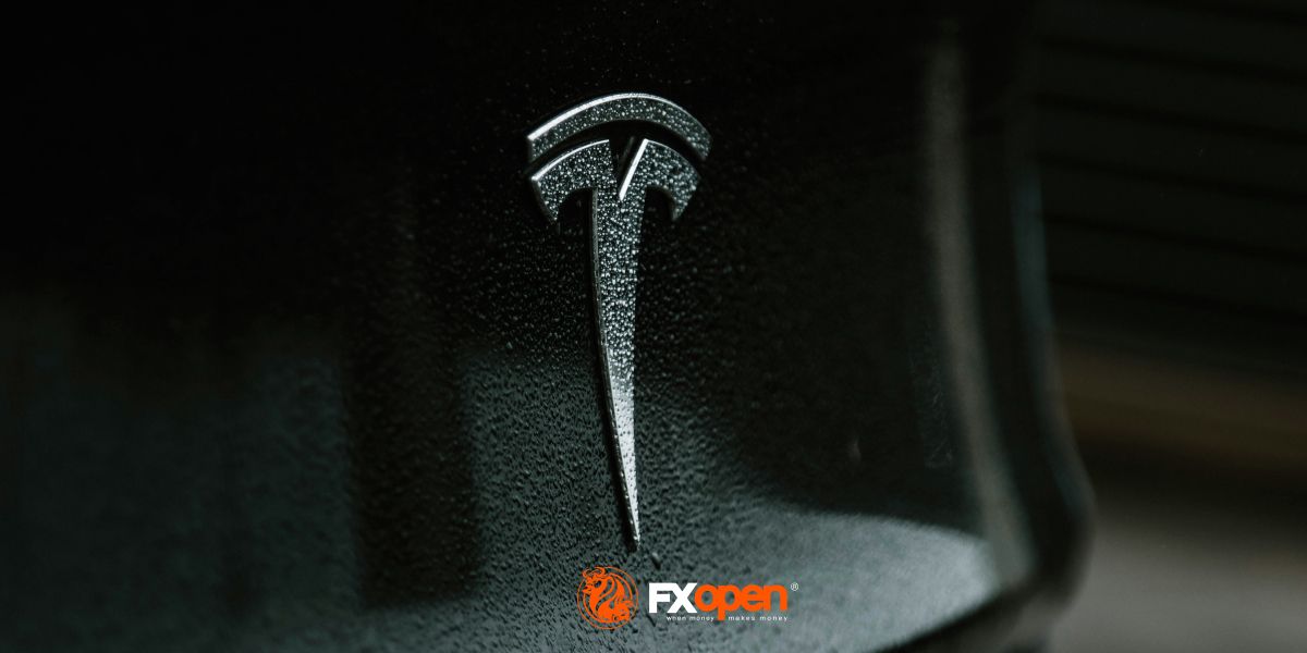 Tesla (TSLA) Stock Rises Despite Disappointing Earnings Report