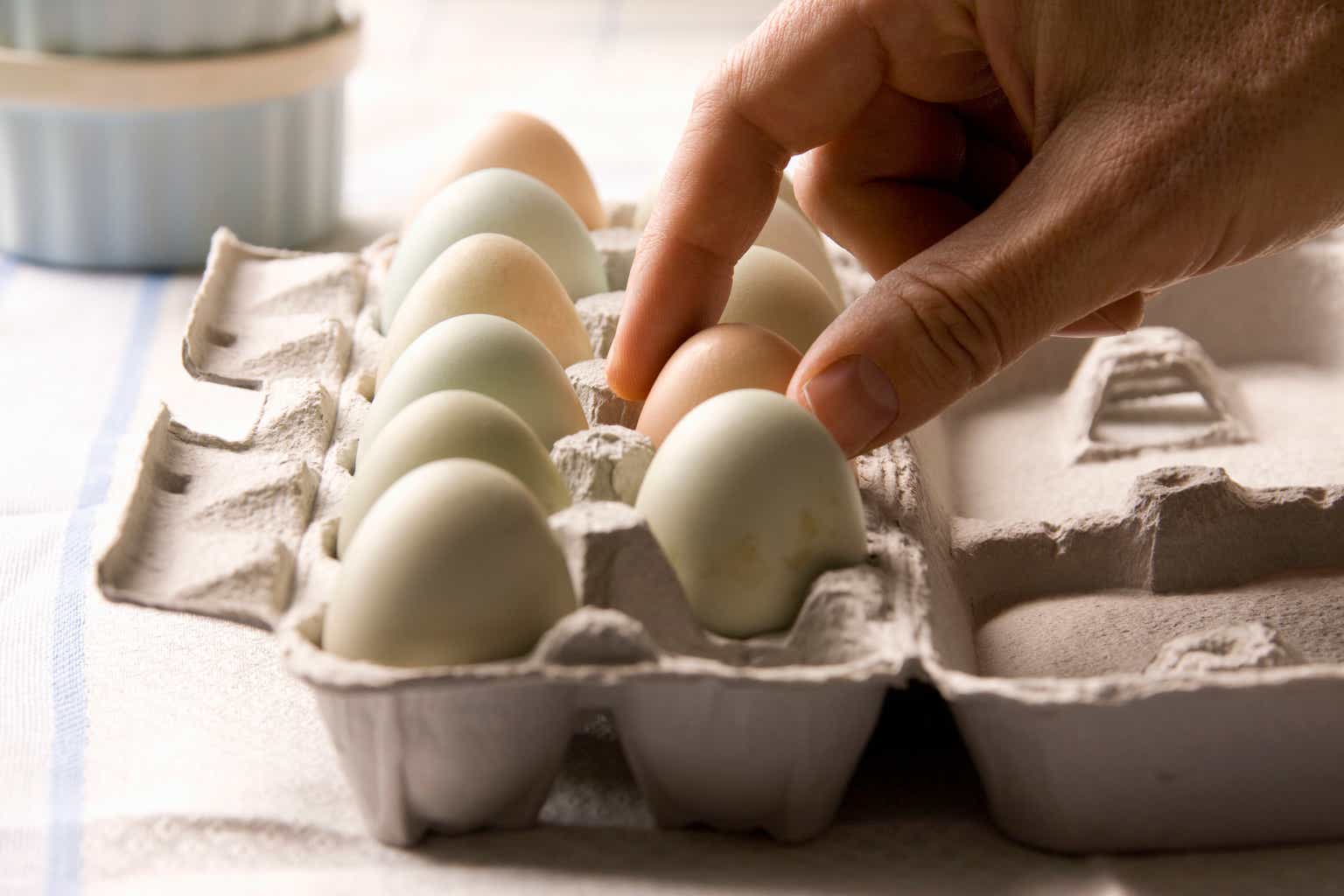 Vital Farms: Hatches Bold Growth Plans (NASDAQ:VITL)