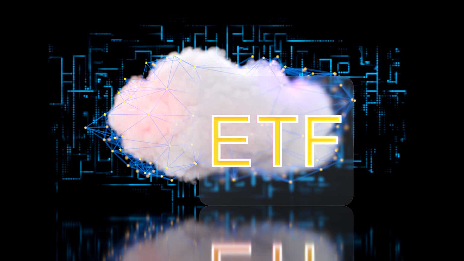 Michael Del Monte profile picture