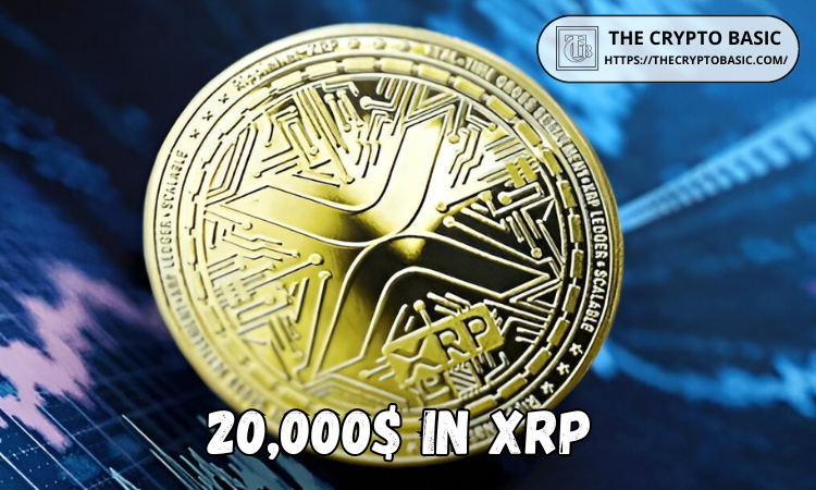 XRP Road to $20,000, Expert Mentions Possible Catalysts That Might Turn This Dream into Reality