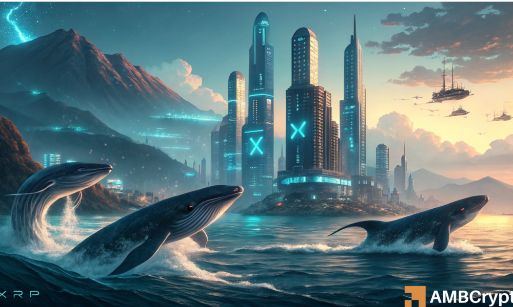 XRP whales dump 130 mln tokens in a day, price falls 26% – What now?