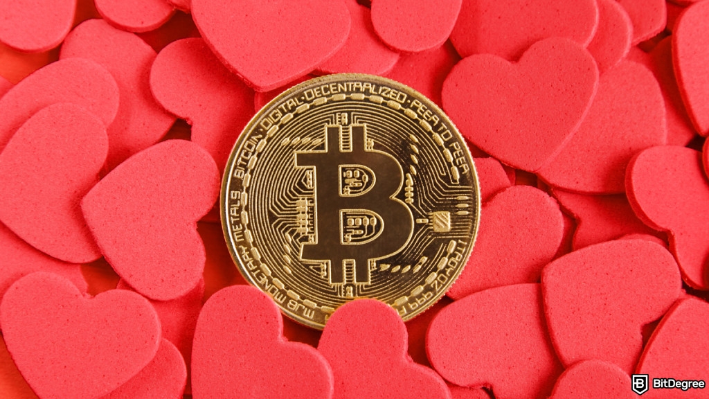 Trezor's V-Day 2025 Wallet Deals Hit the Mark