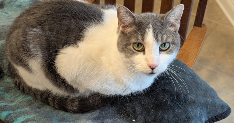 The Power of Persistence