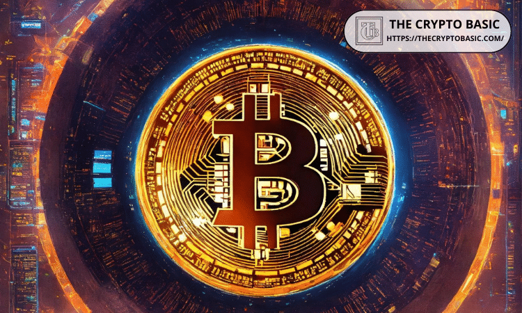 Bitcoin Adoption Rallies as 80% More Public Companies Bought in 2024: Report