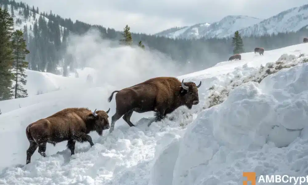 Avalanche [AVAX] eyes $53 as bullish momentum builds – What now?