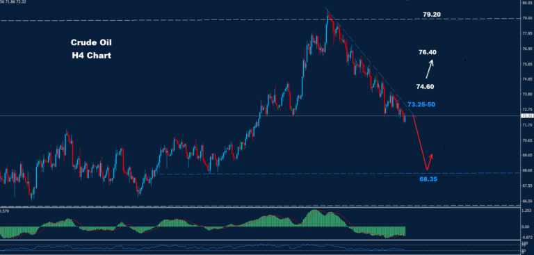 Crude Oil –07.02.2025 - Orbex Forex Trading Blog