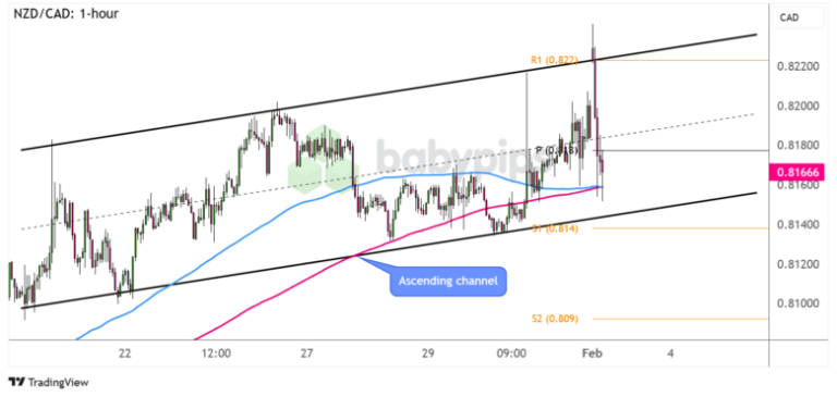 FX Watch: AUD/NZD and NZD/CAD Trend Channels for a Strong NZ Jobs Report