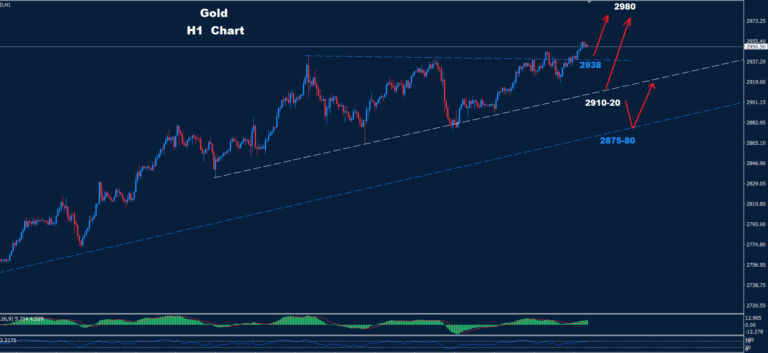 Gold–20.02.2025 - Orbex Forex Trading Blog