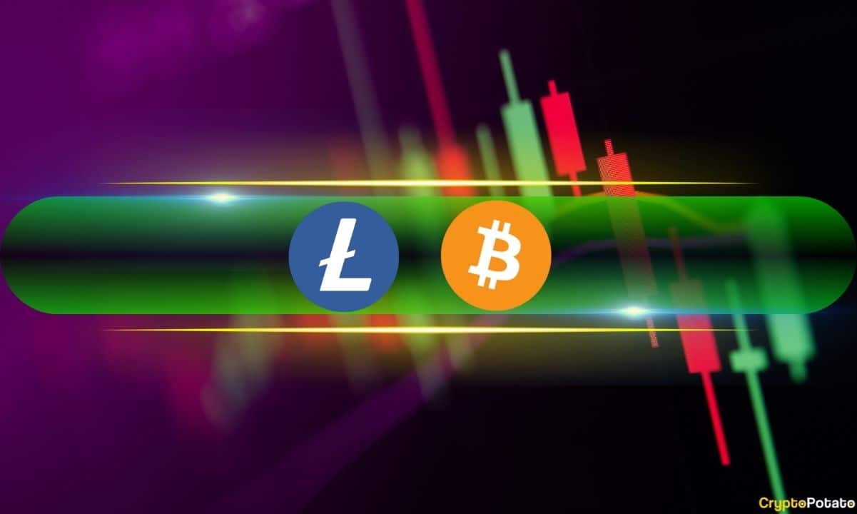 Litecoin Defies Market Trends, Bitcoin Recovers From Drop to $82K (Market Watch)
