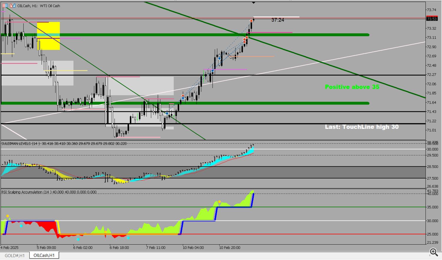 RSI Trend: Clear Vision and Real Experience – Crude Oil