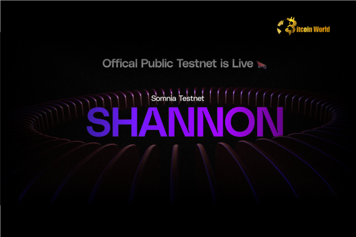 Revolutionary Somnia Shannon Testnet Unlocks Unprecedented Blockchain Scalability