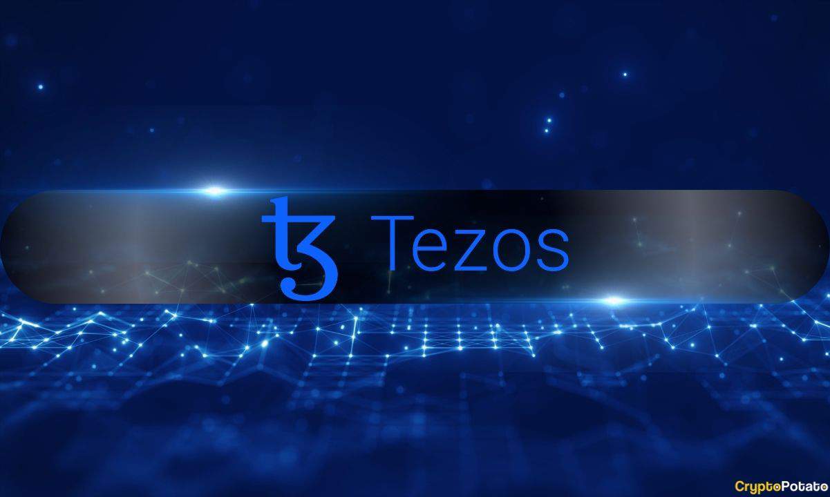 Tezos Sees Rising Revenue but Declining Activity as Users Shift to Layer 2 - AabeyLLC Crypto