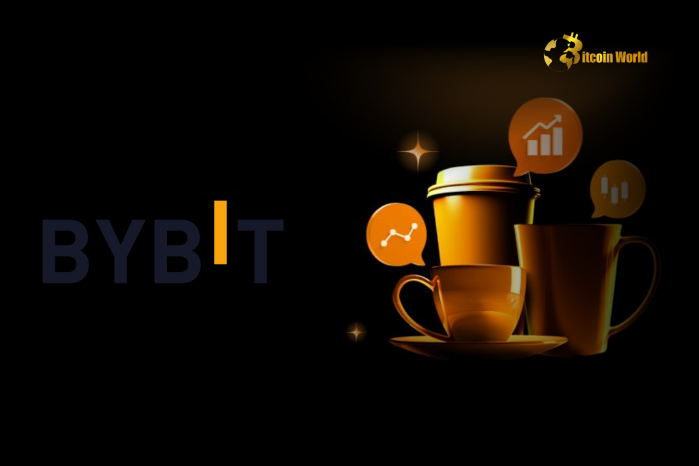 Unshaken Bybit Holds Strong $19.5B Assets Amidst Massive Withdrawal Wave A Beacon of Crypto Exchange Security