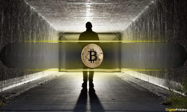 Was Satoshi Nakamoto Active Until 2014? - AabeyLLC Crypto