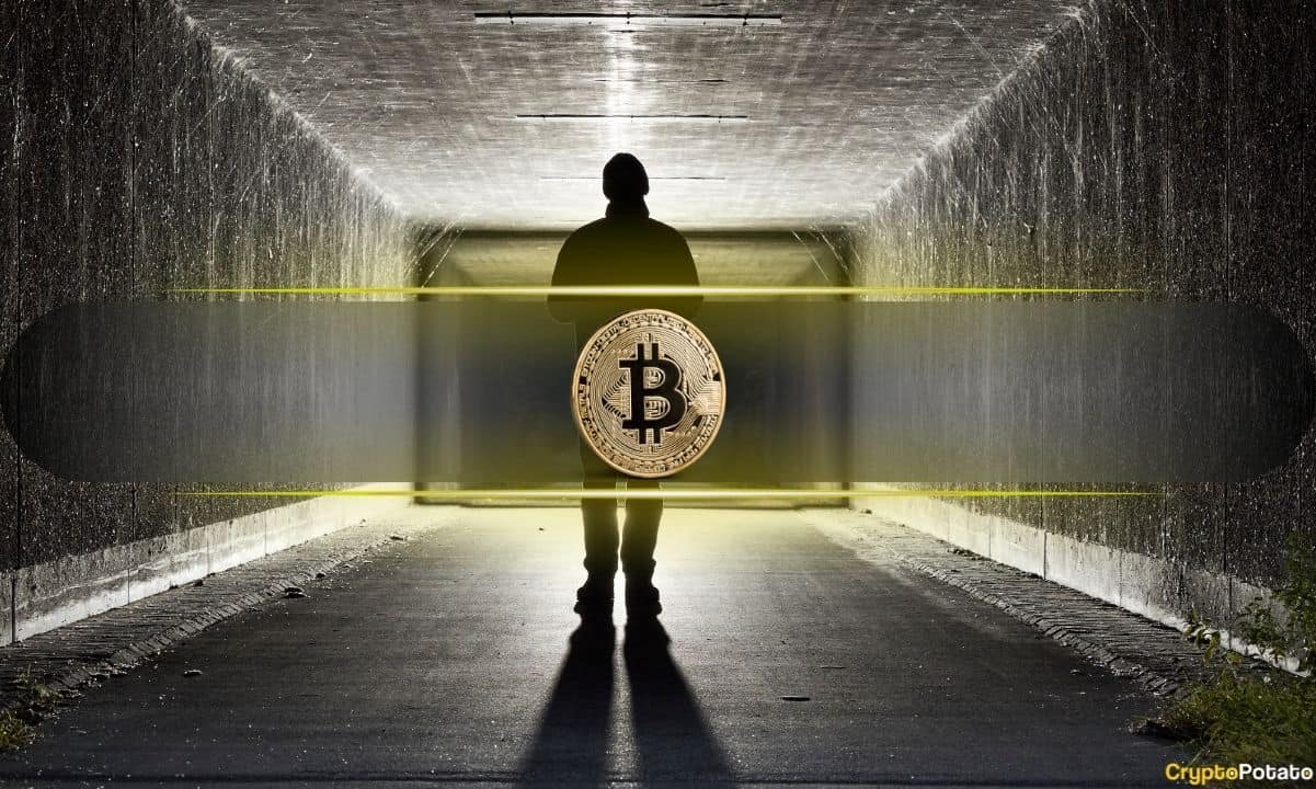 Was Satoshi Nakamoto Active Until 2014? - AabeyLLC Crypto