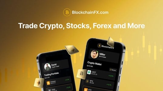 Shiba Inu (SHIB), Pepe Coin (PEPE), BlockchainFX (BFX): Which One Will Bring The Highest ROI During The Peak of The Bull Run? - Blockonomi