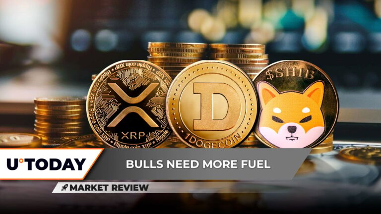 XRP Reaching Critical Support Level, Shiba Inu (SHIB) Breaches Yearly Price Foundation, Dogecoin (DOGE): Has It Begun?