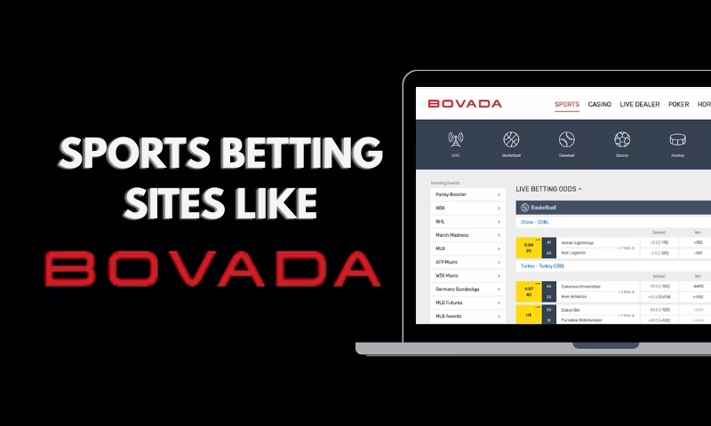 5 Top Sportsbooks Like Bovada for Sports Betting | BitcoinChaser
